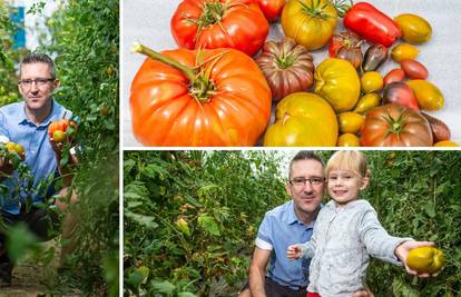 Naš ‘šaptač rajčicama’ uzgaja više od 100 sorti, a dvije zelene sorte nazvao je po kćeri - Erika