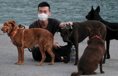 Smjernice: Psi u Kini postaju kućni ljubimci zbog pandemije
