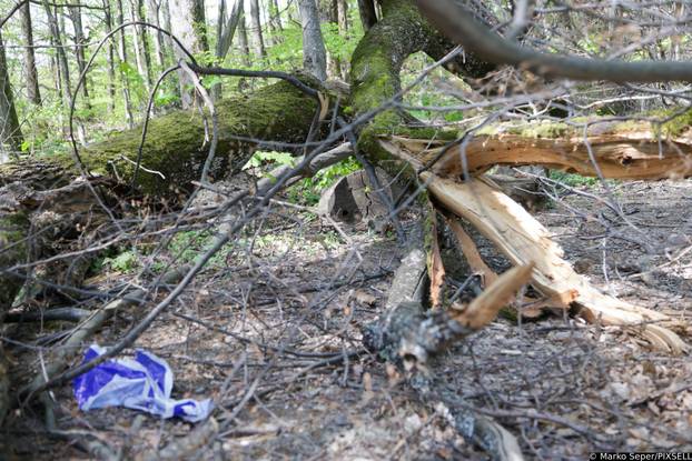 Zagreb: Tri tjedna nakon razorne oluje na Sljemenu i dalje vidljive posljedice 
