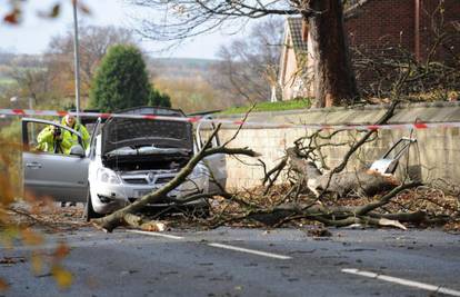 Stablo teško tonu palo na auto, probilo ženu (55)  i ubilo ju
