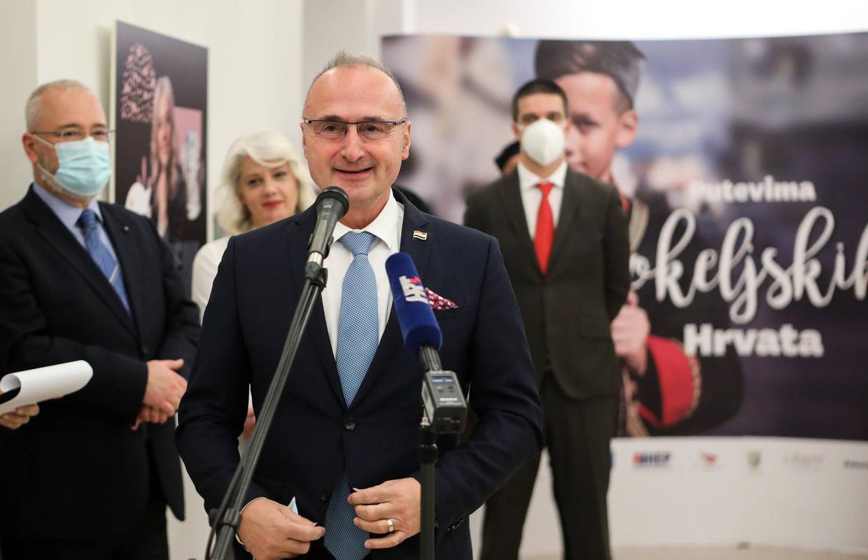 Grlić Radman: Primanje RH u Vijeće Europe je bilo postignuće