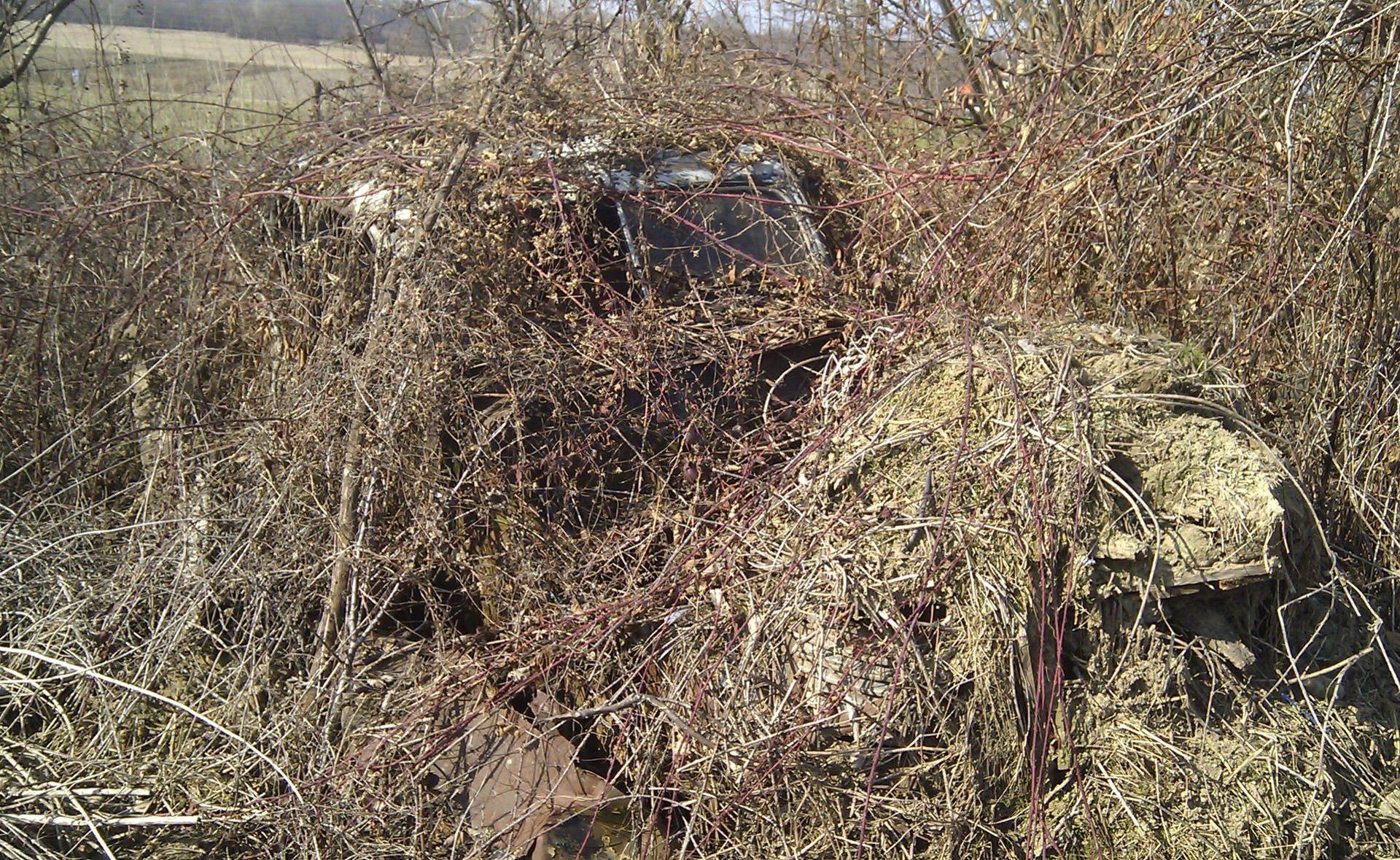 'Tata je bio na rubu da se ubije. Život mu je spasio stari Ford...'