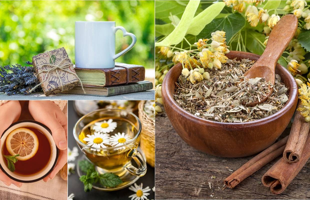 Top čajevi: Lavanda se pije za bolji san, a glog za manje stresa