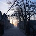 Prije 80 godina oslobodili logor smrti: U Auschwitz će danas doći preživjeli i svjetski vođe