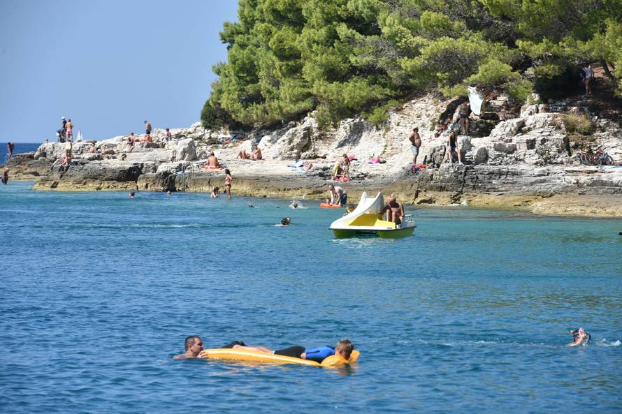 Invazija na Istru:  Nakon kitova, kupače su prestrašile meduze