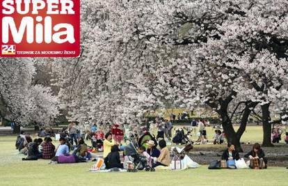 Tokio - upoznajte i vi nježniju stranu užurbana diva Japana