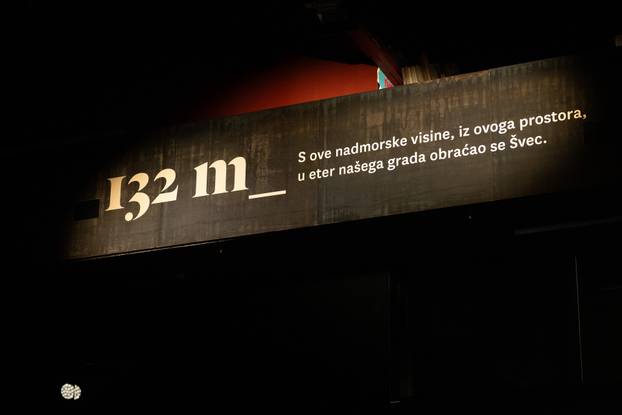 Zagreb: Komemoracija za Sinišu Šveca