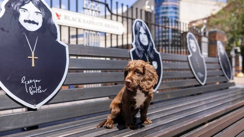 Svet žaluje za Ozzyjem Osbourneom: Ikona heavy metala preminula, številni glasbeniki se mu poklanjajo