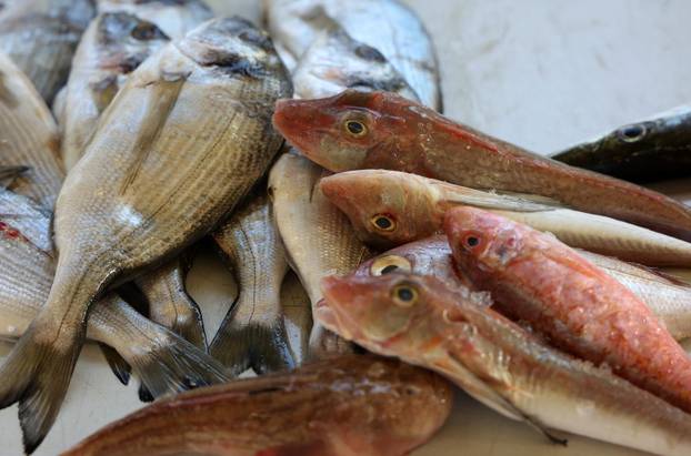 Šibenik: Ponuda na šibenskoj ribarnici
