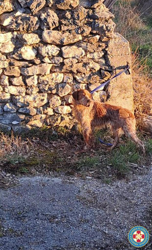 Drniš: Članovi HGSS-a spasili psa iz kanjona rijeke Čikole 