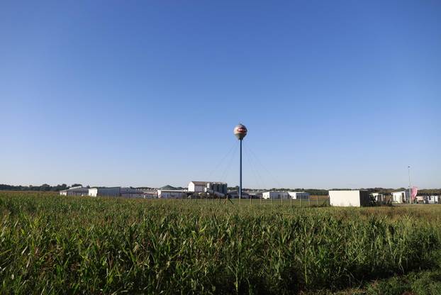 Sokolovac: Kreće eutanazija svinja, uvode se novi sigurnosni protokoli