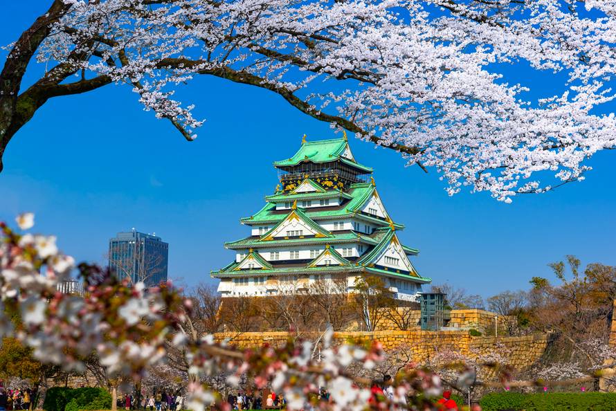 Iz svog kauča pogledajte kako cvjetaju trešnje svuda u svijetu