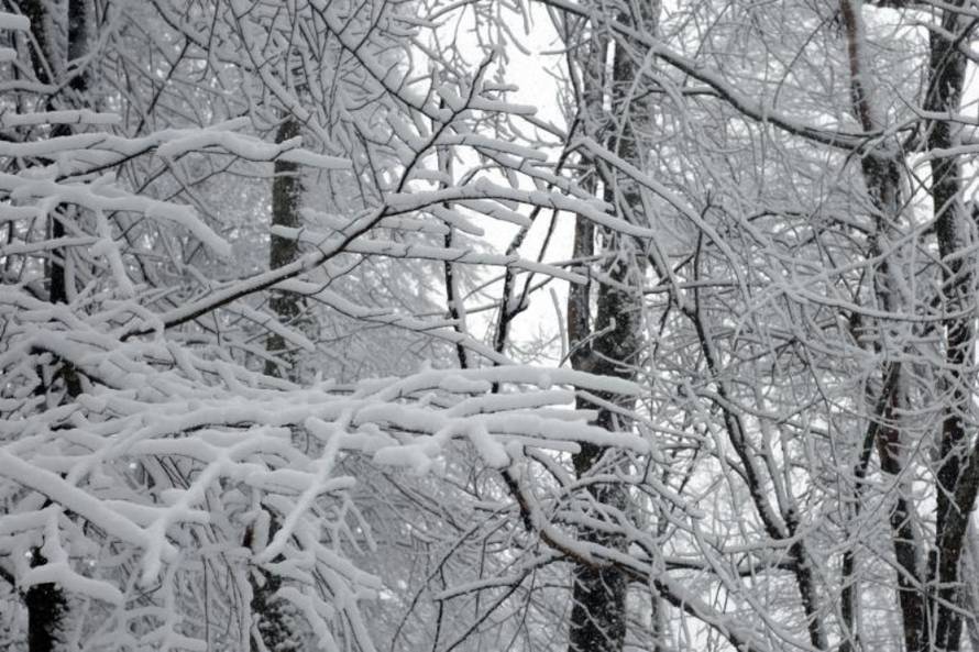 Borna Filić/Pixsell