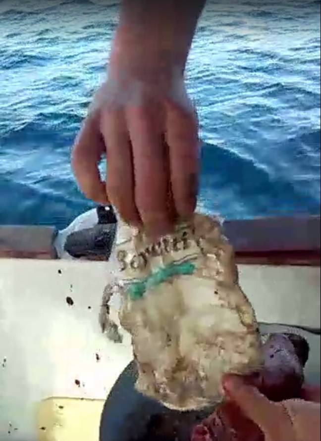 Ulovljena u Jadranu: Ribar je iz tune izvadio vrećice i smeće