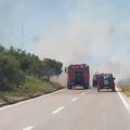 VIDEO Požar kod Šibenika,  zatvorili ceste: 'Vjetar je jak'