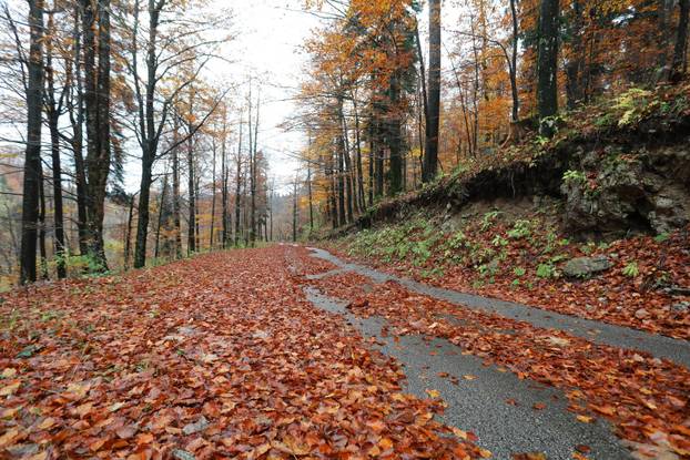 Delnice: Boje jeseni u Gorskom kotaru