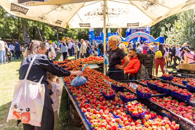 Pula: Prvomajski grah u Šijanskoj šumi