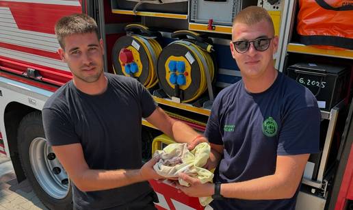 Vatrogasci iz Tučepa spasili su malenu vjevericu! 'Odnijeli smo je veterinaru na pregled...'