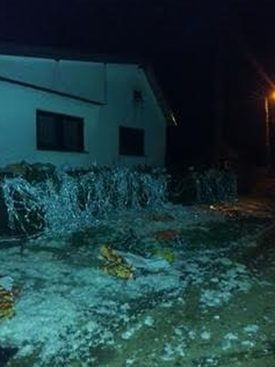 Dobrodošao Fran! Zatrpali su im kuću plastikom i krpama