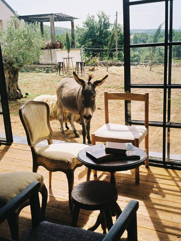 FOTO Farma blizu Splita na kojoj možete ručati među knjigama i družiti se sa životinjama