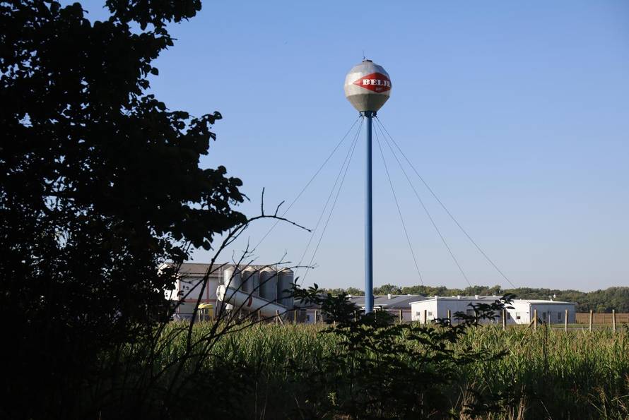 Sokolovac: Kreće eutanazija svinja, uvode se novi sigurnosni protokoli