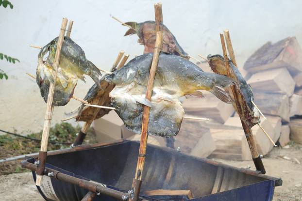 Zmajevac:  Vinski Bor maraton