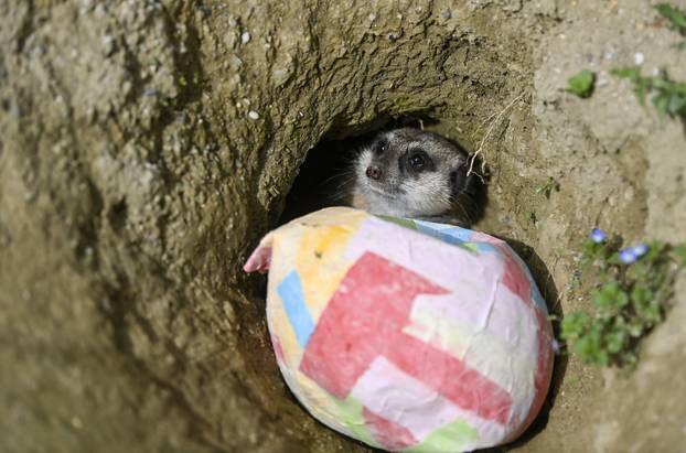 Zagreb: Podjela pisanica uz edukativni pogram za djecu u zoološkom vrtu