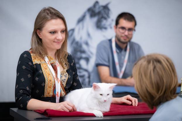 Zagreb: Drugi dan Međunarodne izložbe mačaka