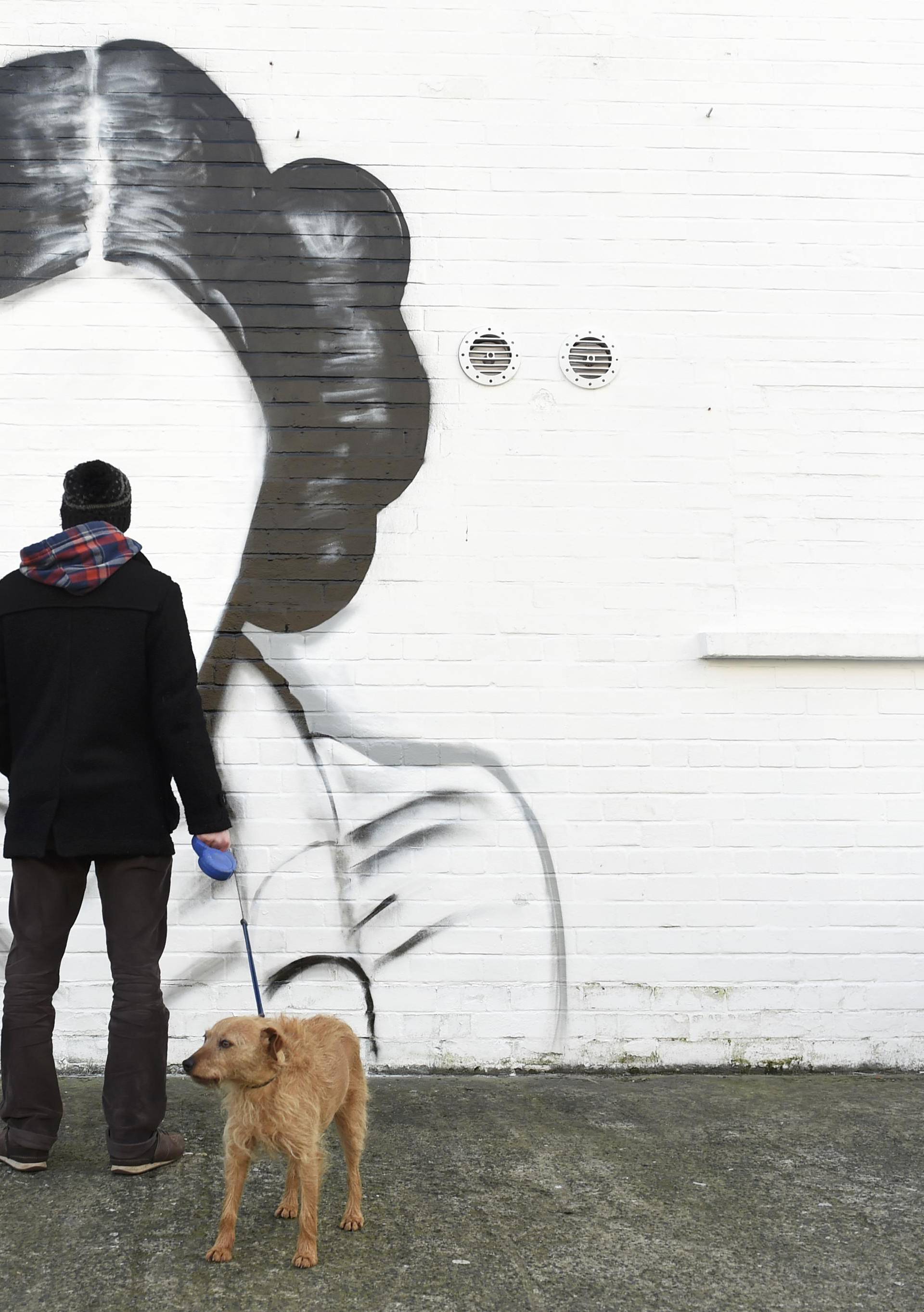 A man and his dog stop to look at a mural depicting Princess Leia from the film Star Wars played by Carrie Fisher in Belfast