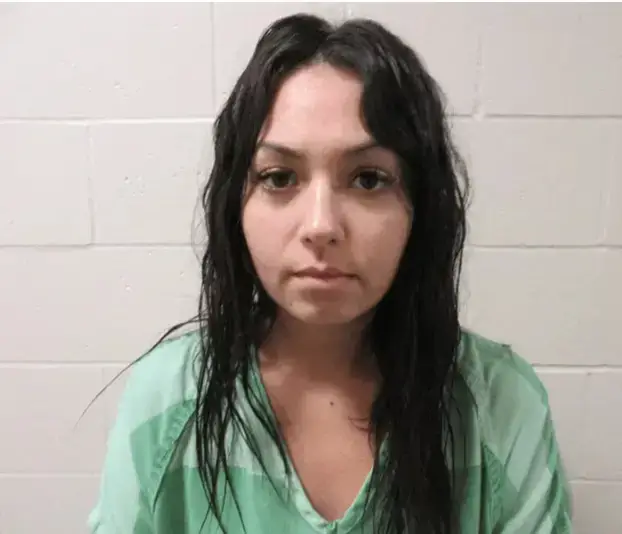 BOLESNO Pala još jedna! Ove učiteljice ispunjavale su svoje perverzije na učenicima...