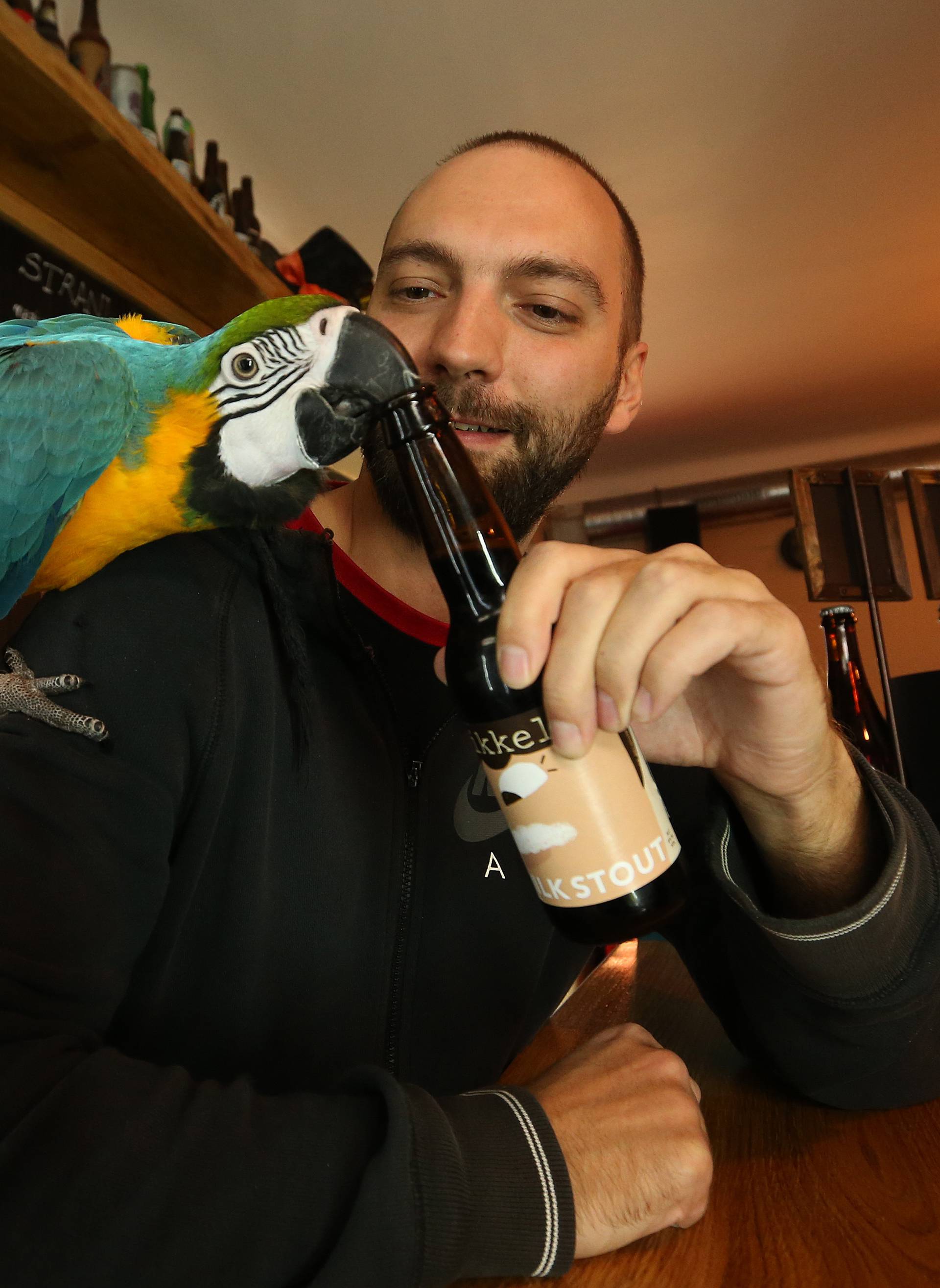 Konobar s krilima: Svi vole kad im pivo otvori papagaj Jack