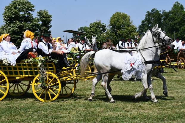 FOTO U znaku tradicije: Na 44. manifestaciji 'Konji bijelci' vozile su se i svadbarske kočije