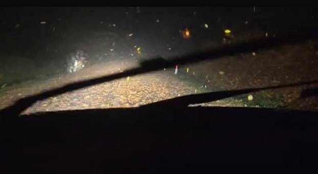 Nevrijeme pogodilo Zagreb. Vatrogasci su imali više od 50 intervencija! Pogledajte fotke