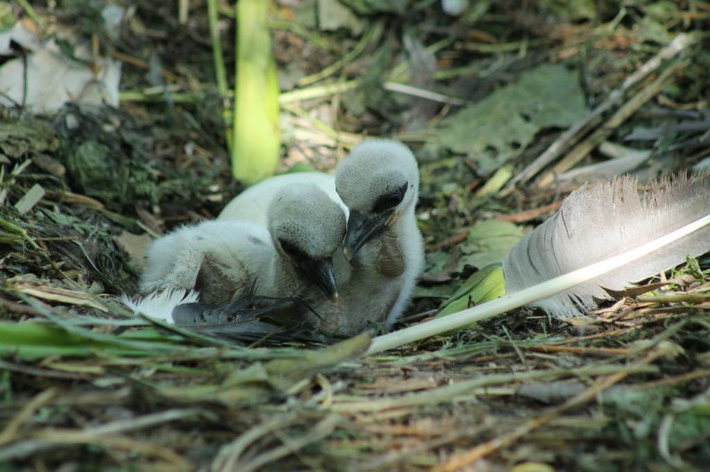 Zoo Zagreb