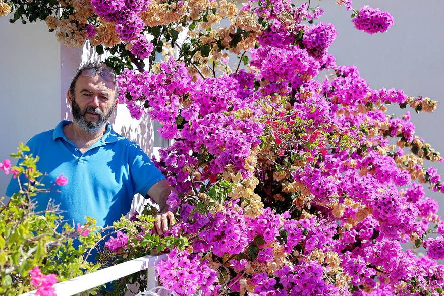 Split: Denis Bojčić, kolekcionar bugenvilija