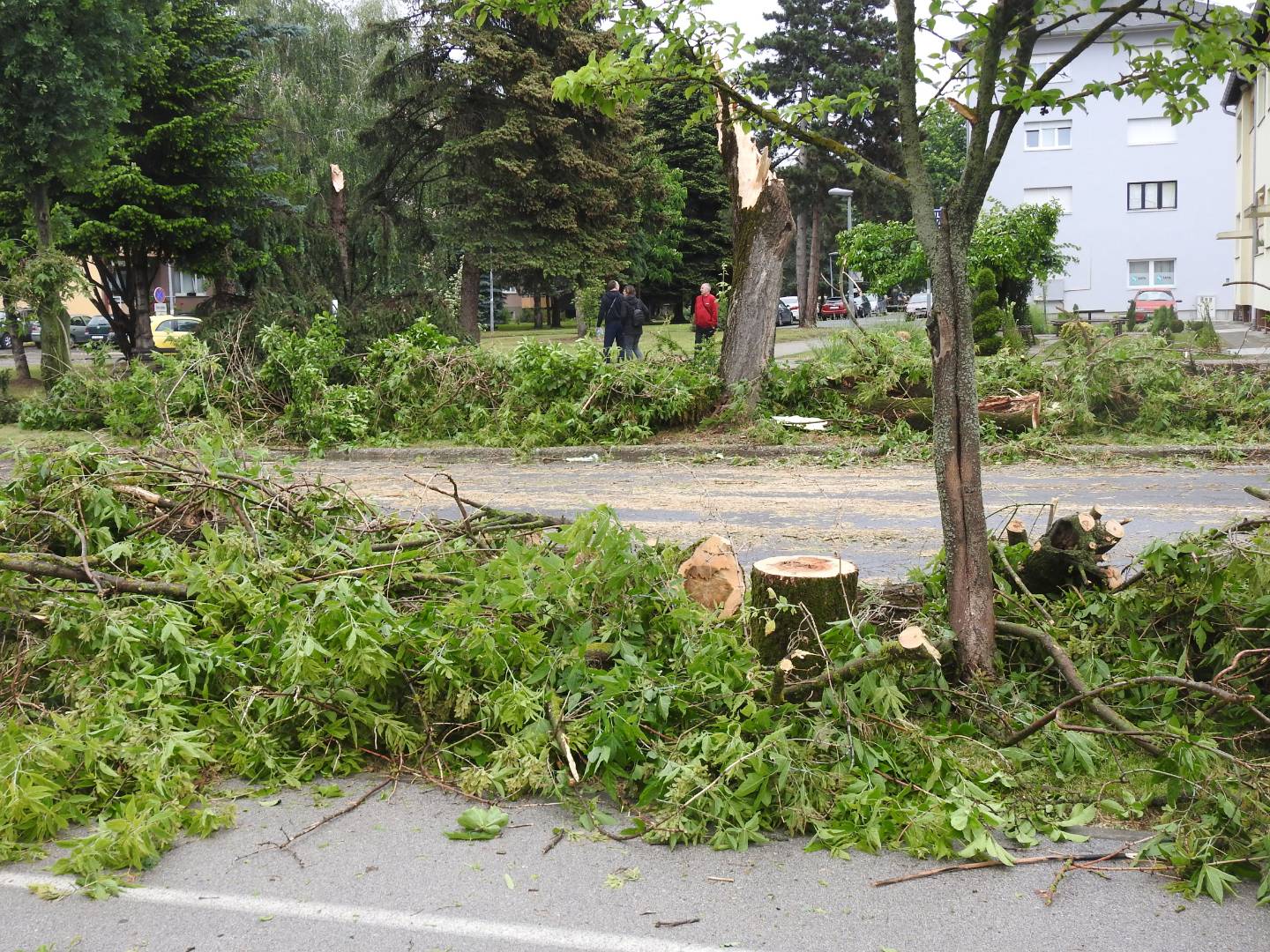 Strašno nevrijeme poharalo i Koprivnicu: Vjetar čupao i lomio stabla, nastala ogromna šteta