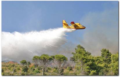 Omiš: Požar progutao 35 hektara borove šume