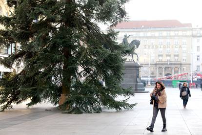 FOTO Pripreme za Advent: Na Trgu u Zagrebu postavili jelku