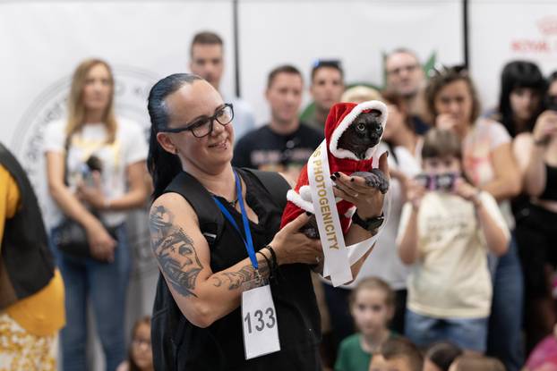 FOTO Velika izložba mačaka u Zagrebu: Predstavljene i jedinstvene modne kreacije