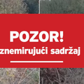 Pojavile su se snimke skrivenih i ostavljenih pasa kod Zadra, policija poručila: 'Istražujemo'