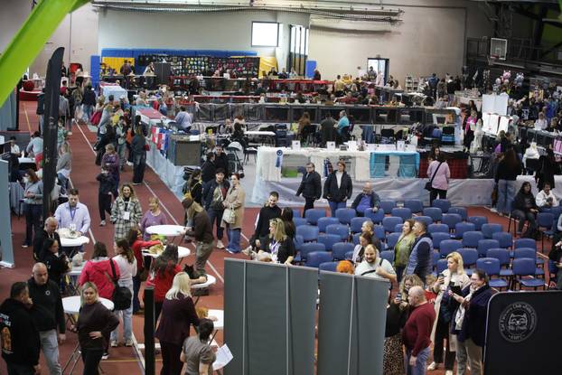 Rijeka: Međunarodna izložba mačaka