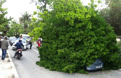 Trogir: Na automobil u vožnji palo je stablo i zarobilo ženu 