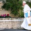 Papin zakon: Želi se spriječiti spolno zlostavljanje u Vatikanu