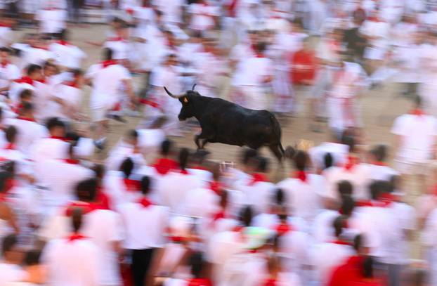 A reveller runs away from a wild cow at the bullring