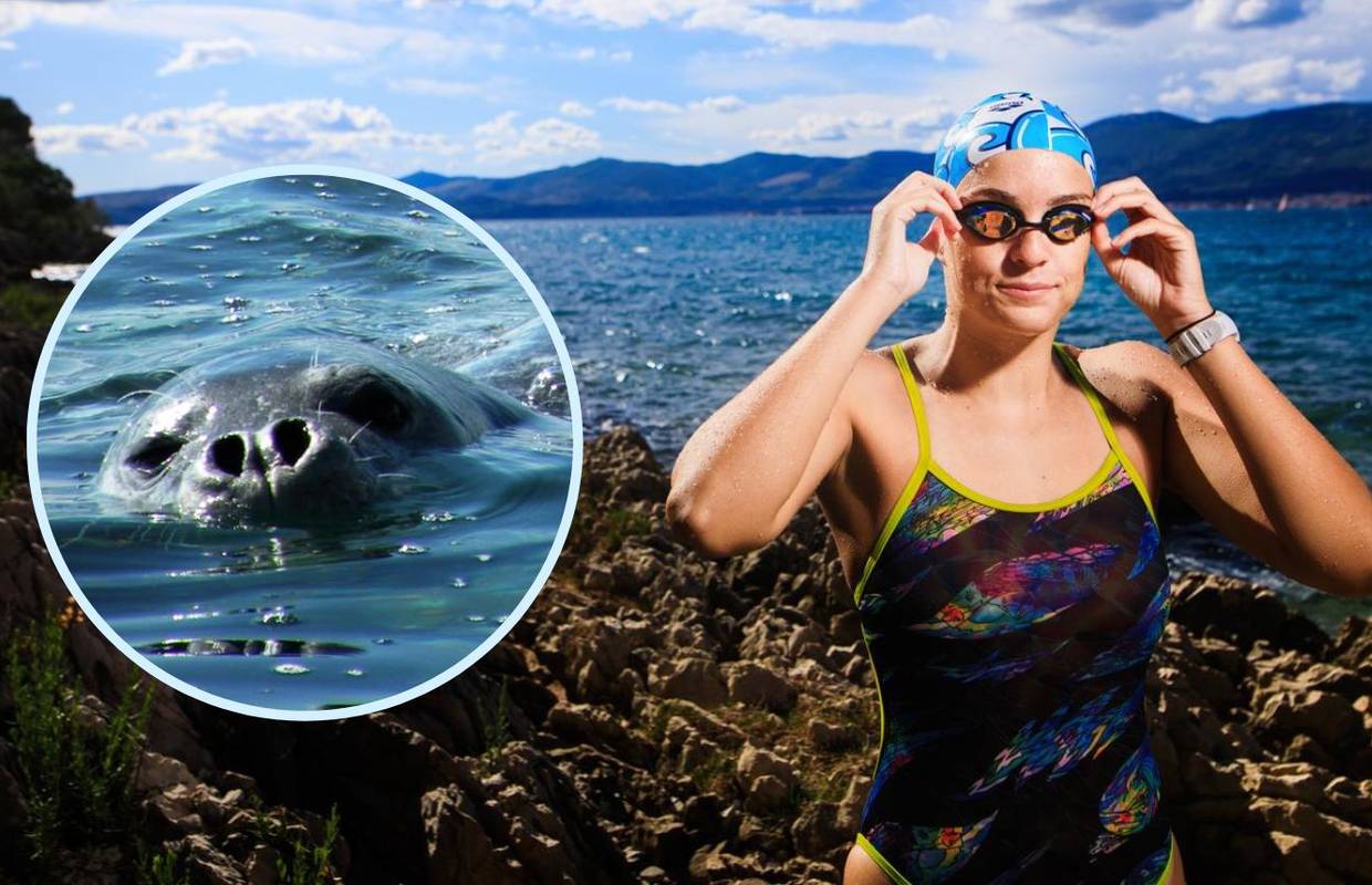 'Sredozemnu medvjedicu želimo vratiti u Jadran, ne mora baš svaki turist ući u svaku špilju...'