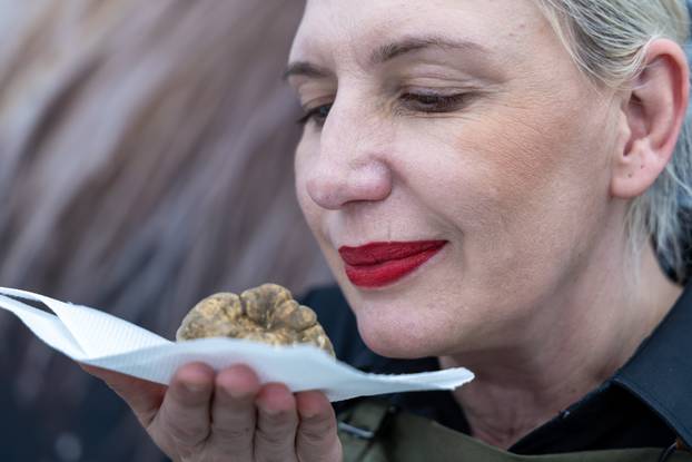 Održani Dani Zigante tartufa u Livadama