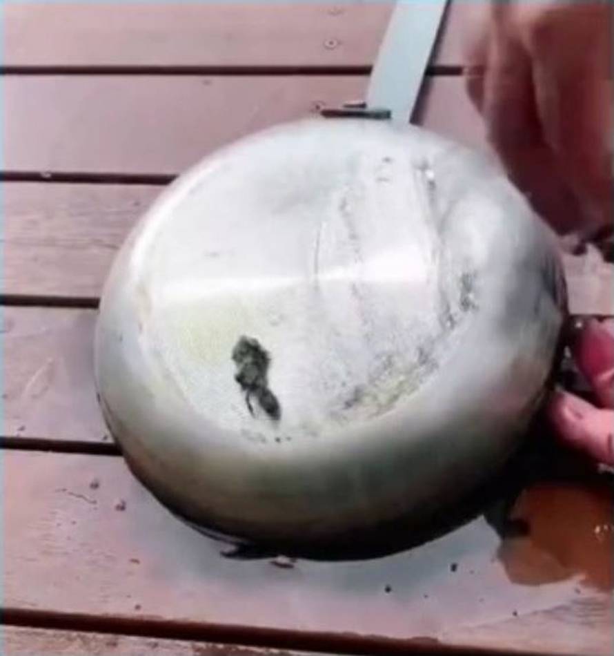 Super trik za obnovu stare tave