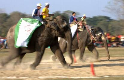 Na humanitarnoj utrci slonova tresla se zemlja
