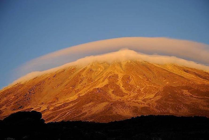 Reed Hoffmann-Disabled Sports USA