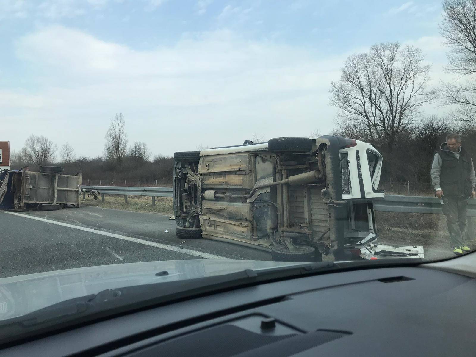 Muuuu, spasite me odavde: Uz vozača u nesreći stradala krava